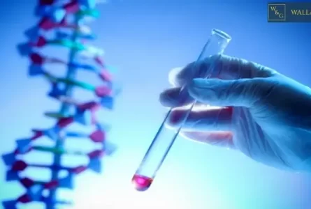 The Role of Genetic Testing in Mesothelioma Lawsuits